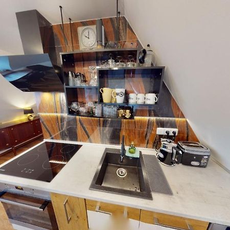 Apartman Atelier Vary V Nove Zrekonstruovanem Dome カルロヴィ・ヴァリ エクステリア 写真