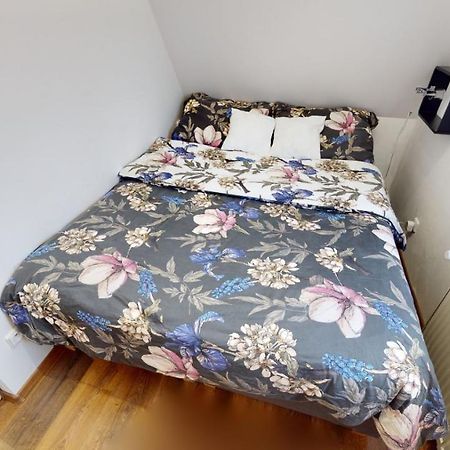Apartman Atelier Vary V Nove Zrekonstruovanem Dome カルロヴィ・ヴァリ エクステリア 写真