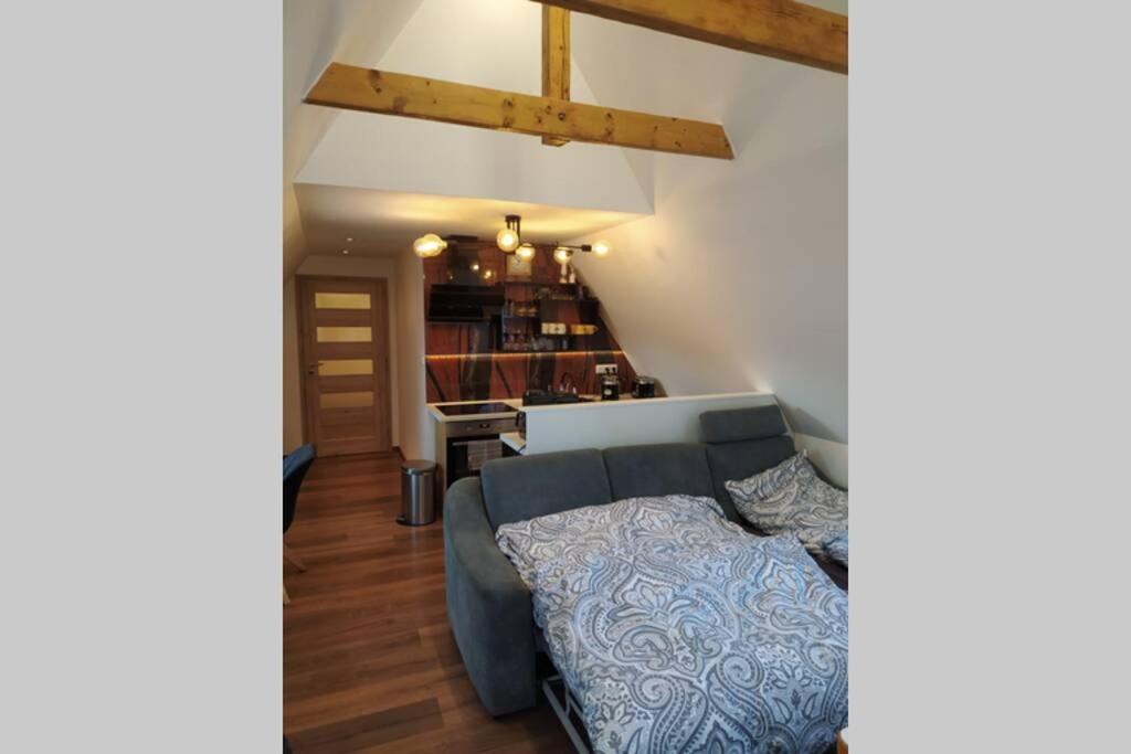 Apartman Atelier Vary V Nove Zrekonstruovanem Dome カルロヴィ・ヴァリ エクステリア 写真