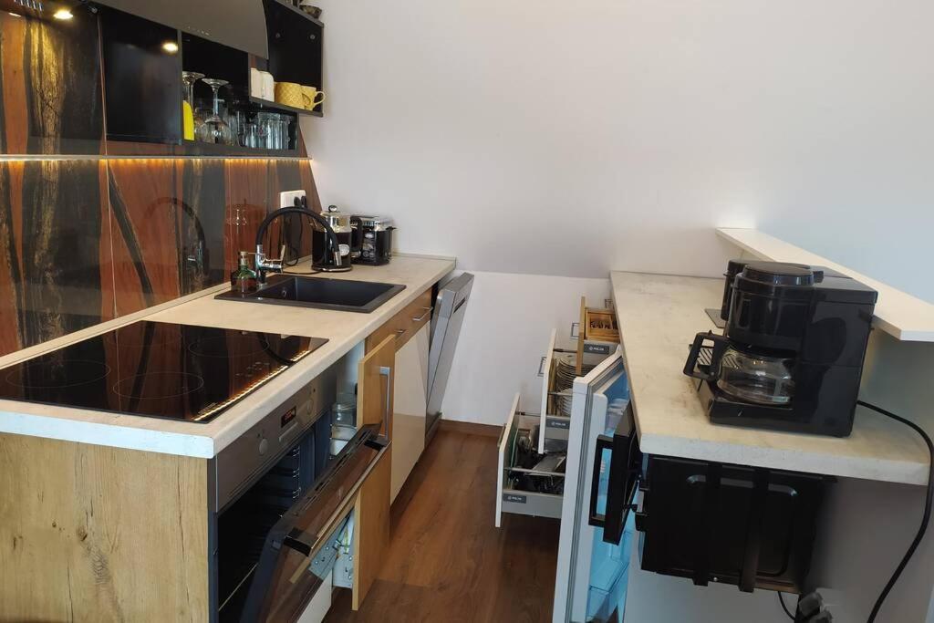 Apartman Atelier Vary V Nove Zrekonstruovanem Dome カルロヴィ・ヴァリ エクステリア 写真