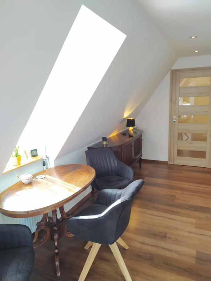 Apartman Atelier Vary V Nove Zrekonstruovanem Dome カルロヴィ・ヴァリ エクステリア 写真