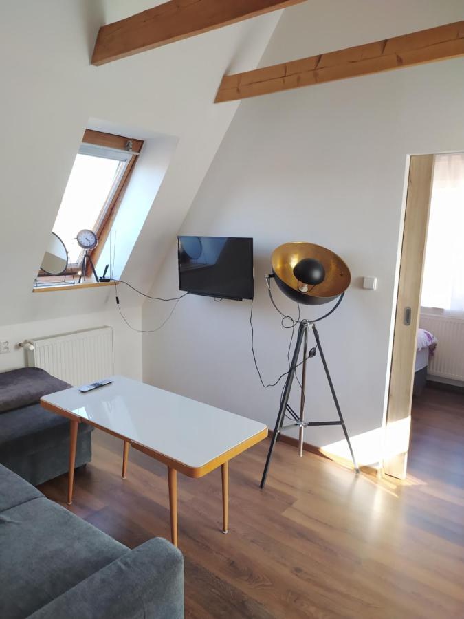 Apartman Atelier Vary V Nove Zrekonstruovanem Dome カルロヴィ・ヴァリ エクステリア 写真