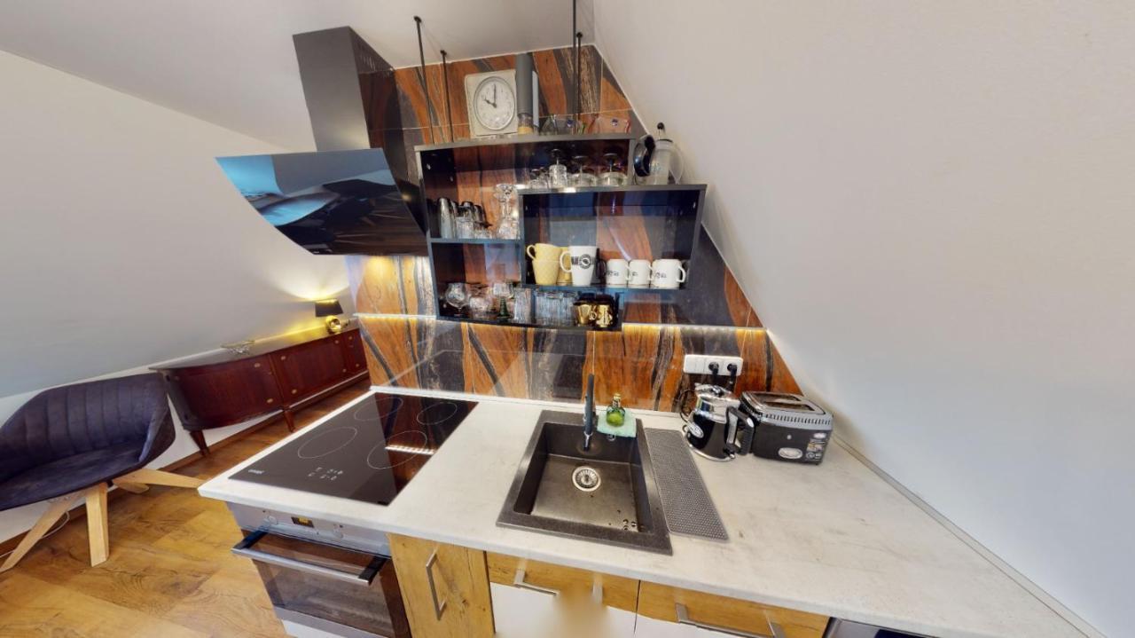 Apartman Atelier Vary V Nove Zrekonstruovanem Dome カルロヴィ・ヴァリ エクステリア 写真