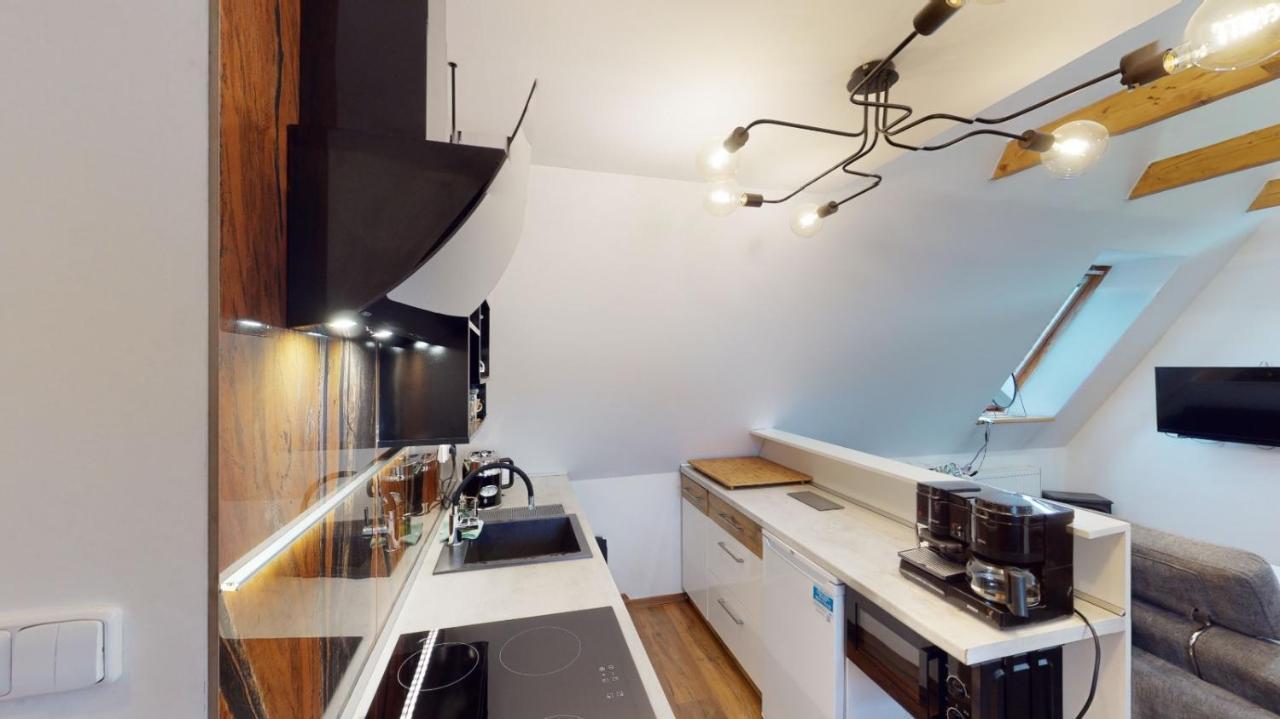 Apartman Atelier Vary V Nove Zrekonstruovanem Dome カルロヴィ・ヴァリ エクステリア 写真